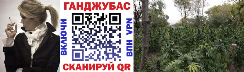 Наркотические вещества Энгельс Бошки Шишки  A PVP  блэк спрут как войти  Мефедрон  Псилоцибиновые грибы 