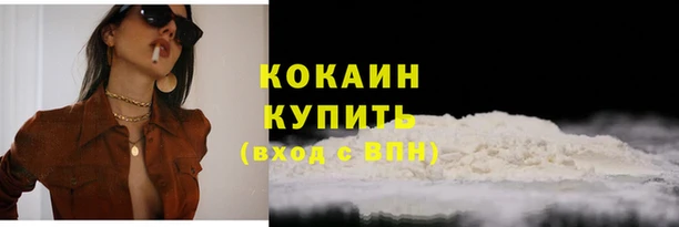 стаф Волоколамск