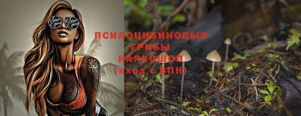 стаф Волоколамск