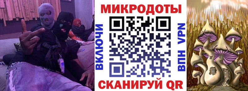 Псилоцибиновые грибы мухоморы  закладки  Энгельс 